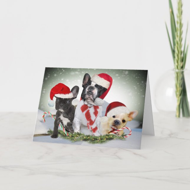 Cartões de Natal French Bulldog Let It Snow (Frente)