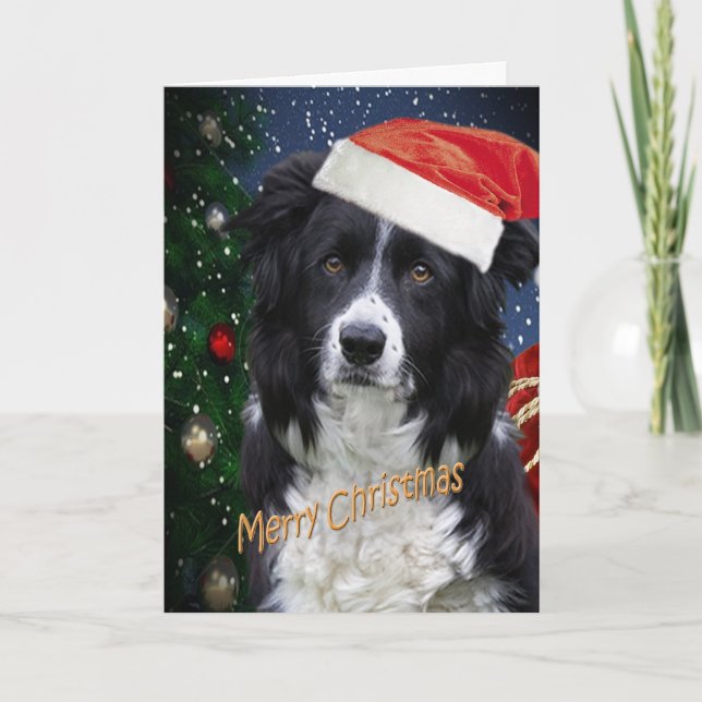 Cartões de NATAL FRONTEIRIÇO COLLIE MERRY (Frente)