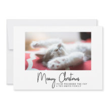 Cartões de natal meowy do seu gato de estimação