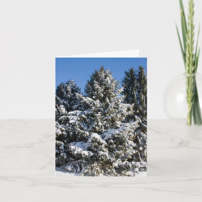 Cartões de Natal Paisagem (Frente)