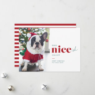 Cartões de Natal para Cachorros Engraçados