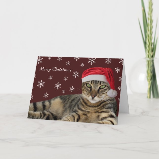 Cartões de Natal para gatos (Frente)