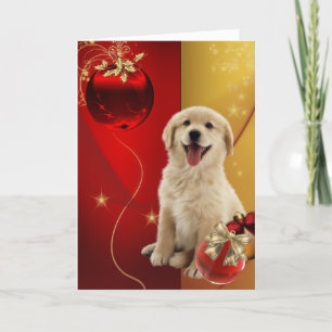 Cartões de Natal para Ouro Labrador
