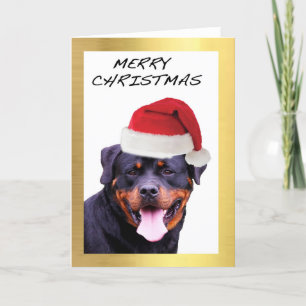 Cartões de Natal "Rottweiler"