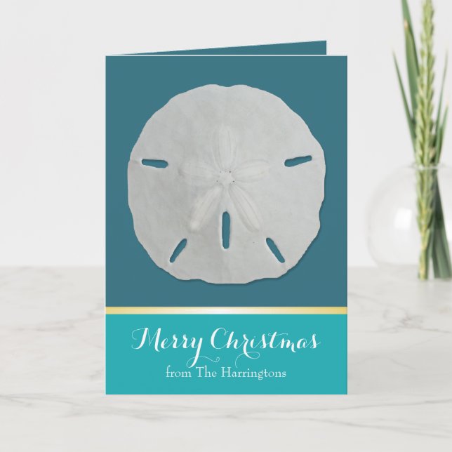 Cartões de Natal Tropicais de Teal Sand Dollar (Frente)