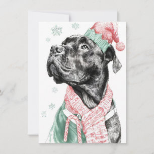 Cartões de Natal Únicos para Cães