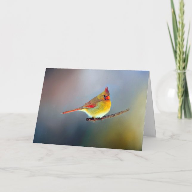 Cartões de nota Assorted (Frente)