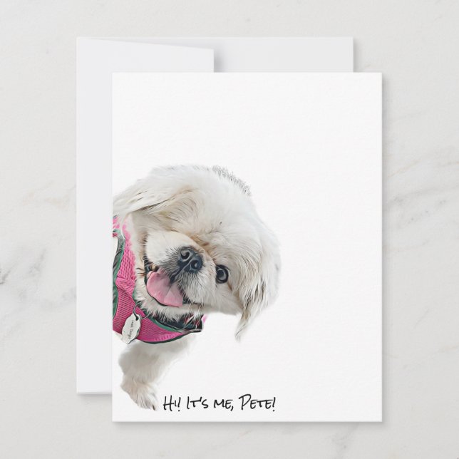 Cartões de nota com Peter Rottentail (Frente)