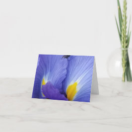Cartões de Nota de Detalhes das Flores Iris Azuis