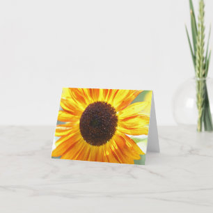 Cartões de Nota de Girassol Amarelo