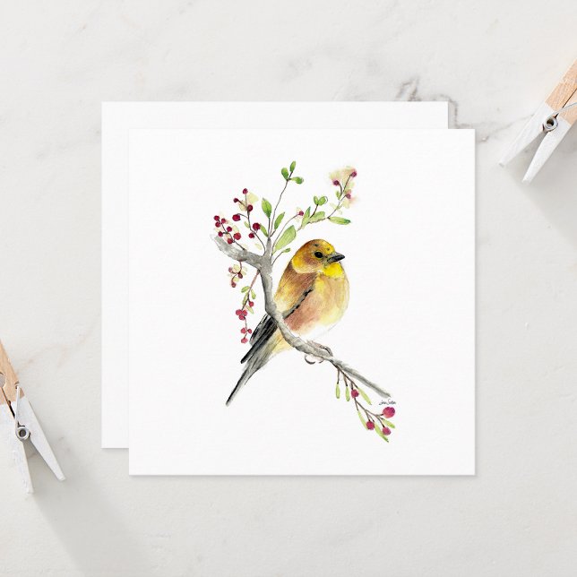 Cartões de Nota de Lindas Cores de Água Goldfinch (Beautiful Goldfinch Watercolor Blank Square Note Cards from Jenn Steffen Art)