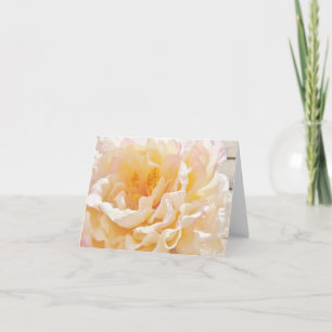 Cartões de Nota de Peony Branco