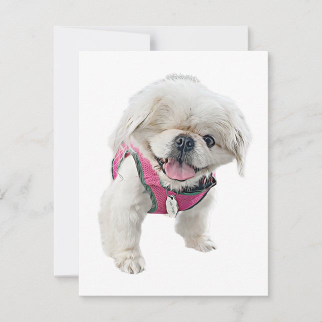 Cartões de Nota de Peter Rottentail (Frente)