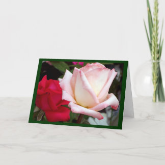 Cartões de Nota de Rosas Rosa Vermelhas