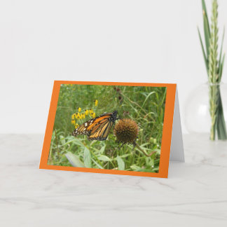 Cartões de nota de Vazio de cabeça de semente