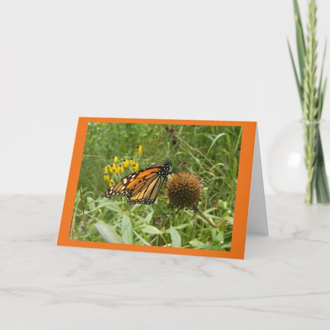 Cartões de nota de Vazio de cabeça de semente (Frente)