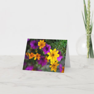 Cartões de Nota de Vazio de Cor de Verão