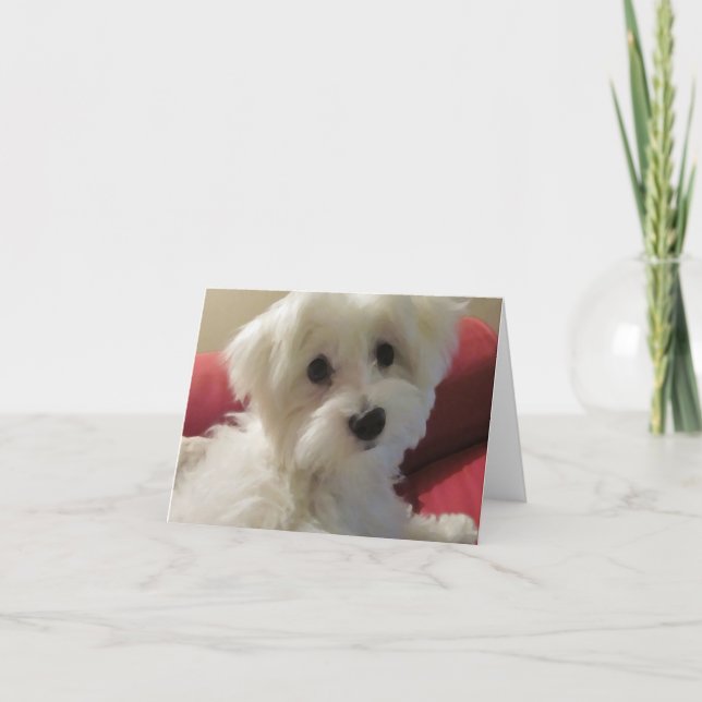 Cartões de nota malteses (Frente)