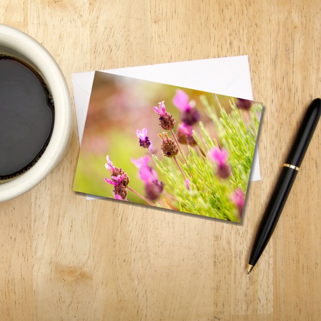 Cartões de Nota para Flores de Lavanda Francesas (Criador carregado)