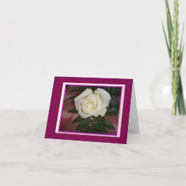 Cartões de Nota Rosa Creme