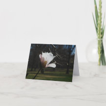 Cartões de Notas de Arte Flor de Magnólia Rosa – E