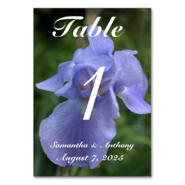 Cartões de Número de Mesa de Casamento Floral Viol