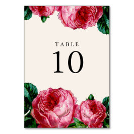 Cartões de Número de Tabela de Casamento Floral Vi
