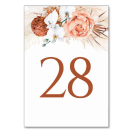 Cartões de Número de Tabela Terracotta Pampas Gras