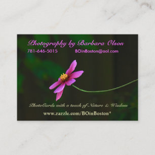 Cartões de ônibus: Com um toque na Natureza