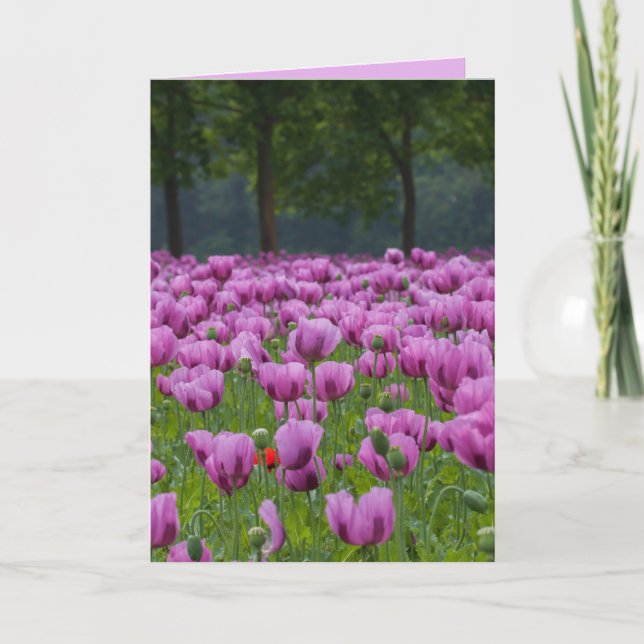 CARTÕES DE PÊSAMES COM TULIPAS ROXAS (Frente)