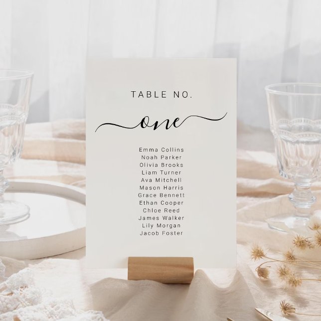 Cartões de Plano de Assento de Casamento Nome Asse (Wedding Seating Chart Cards Name Seat Plan)