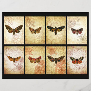 Cartões de plástico Vintage Moth ATC