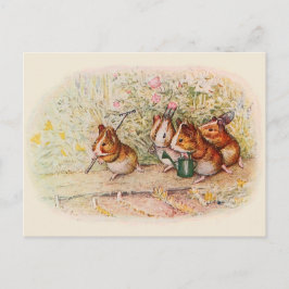 Cartões de Receitas de Porquinhos-da-índia Jardine