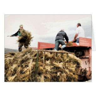 CARTÕES DE REPRODUÇÃO AGRÍCOLA