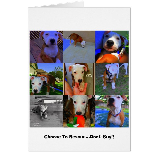 Cartões de resgate... (Frente)