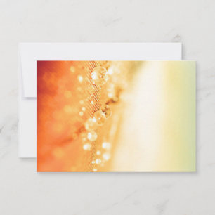 Cartões de Resposta de Convites & Papelaria