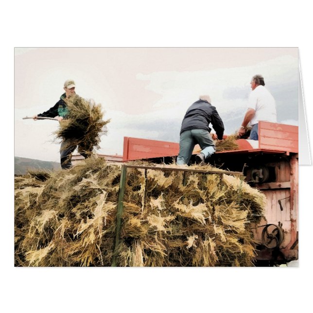 CARTÕES DE RETORNO AGRÍCOLA (Frente horizontal)