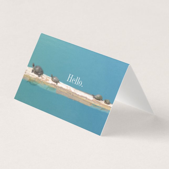 Cartões de saudação à família Turtle (Frente)