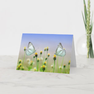 Cartões de Saudação - Borboletas e Mariposas da Pr