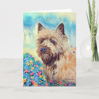 Cartões de saudação Cairn Terrier