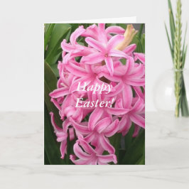Cartões de saudação de Felz pascoa Hyacinths Rosa