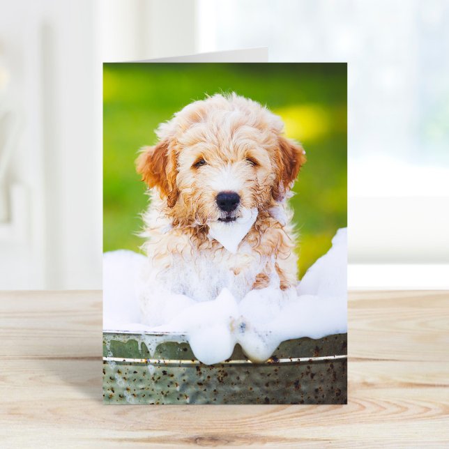 Cartões de Saudação de Foto Pet Personalizado (Criador carregado)
