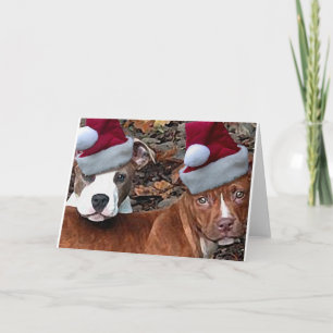 Cartões de saudação de Natal