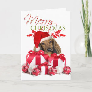 Cartões de saudação de Natal Dachshund