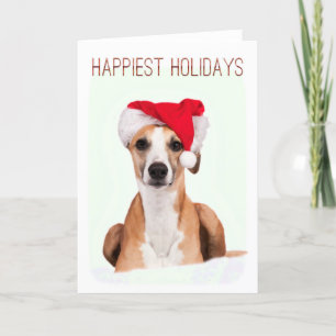Cartões de saudação de Natal Whippet