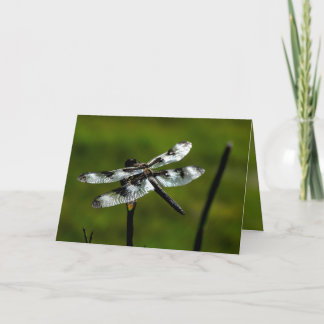 Cartões de saudação do Dragon Fly
