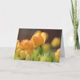 Cartões de Saudação - Florais Amarelos da Primaver