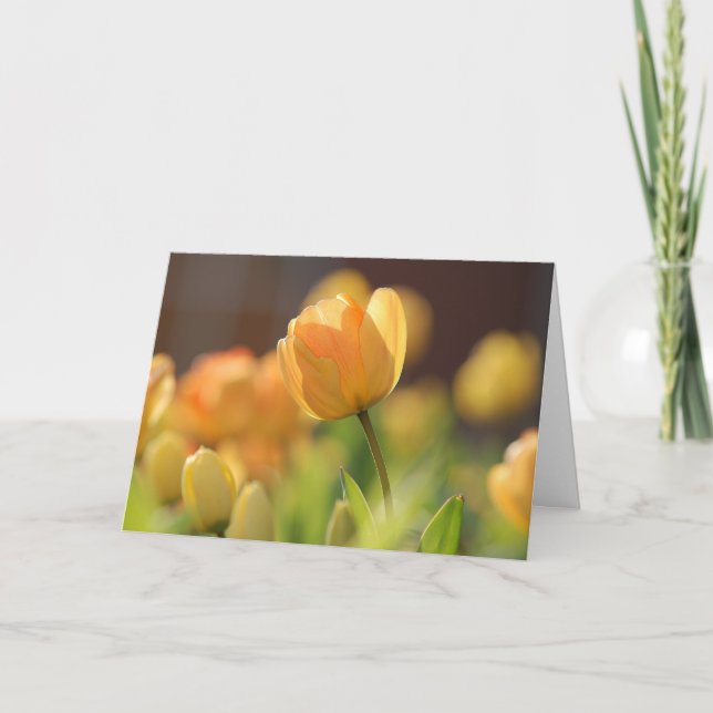Cartões de Saudação - Florais Amarelos da Primaver (Frente)