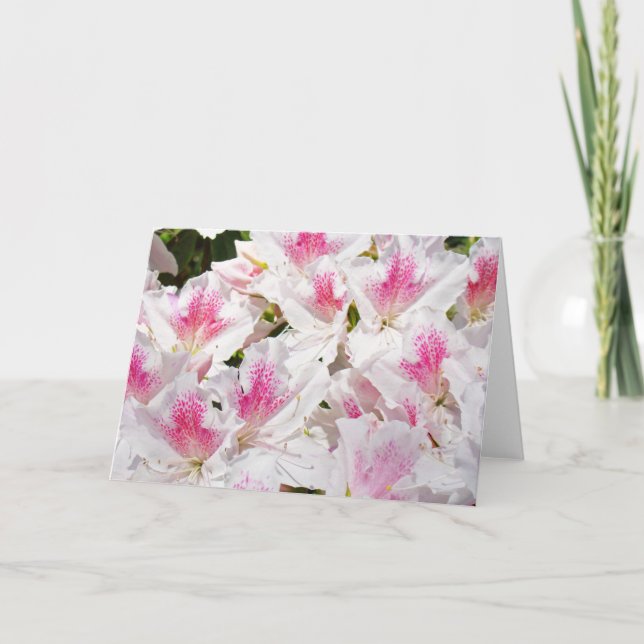 Cartões de Saudação Florais em Branco Personalize  (Frente)
