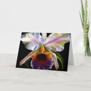 Cartões de Saudação Floral Coloridos